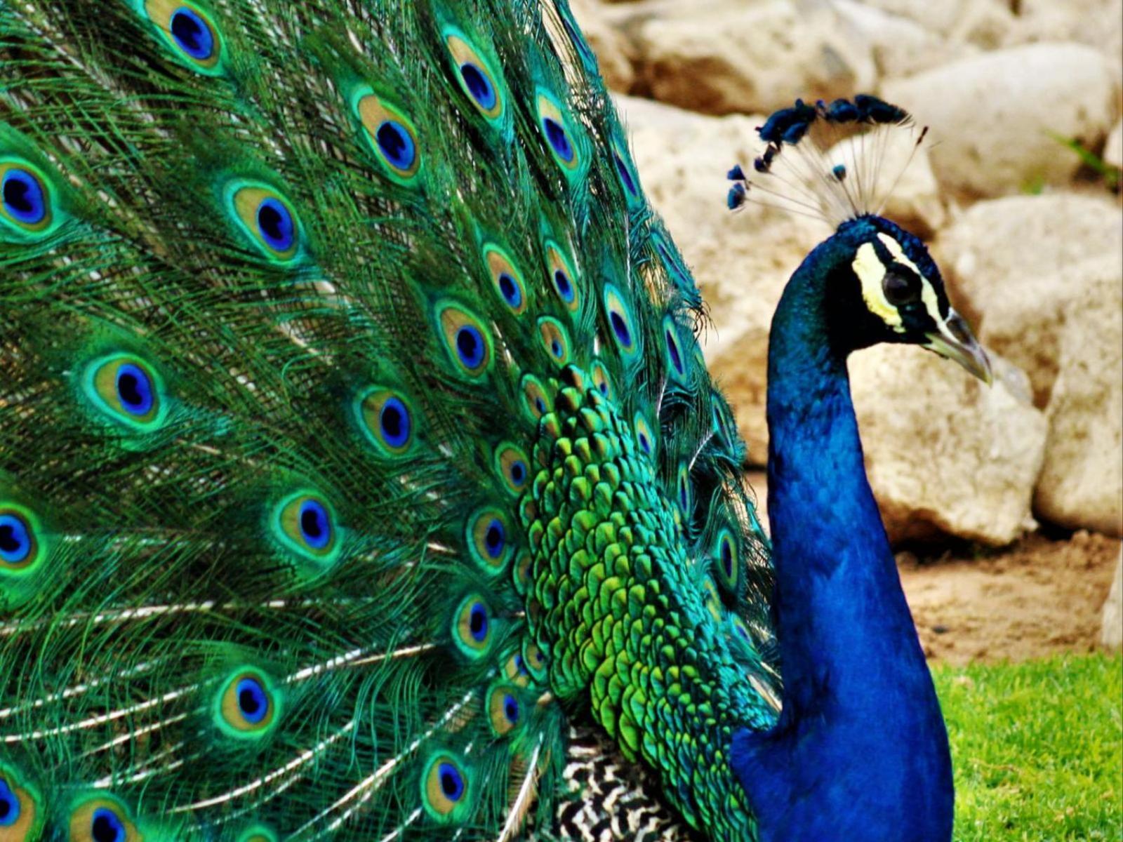 West Nest Lodge Gobabis Εξωτερικό φωτογραφία