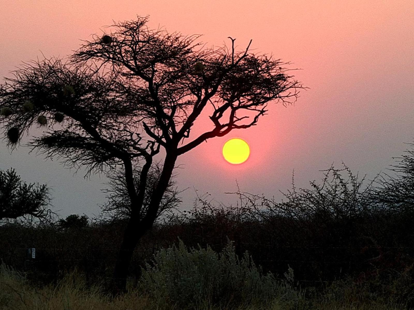 West Nest Lodge Gobabis Εξωτερικό φωτογραφία